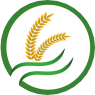 Client Logo 6